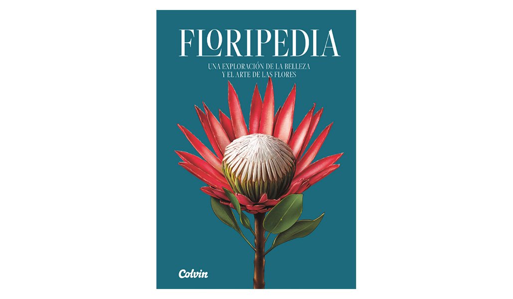 Libros para el Día de la Madre 2025
