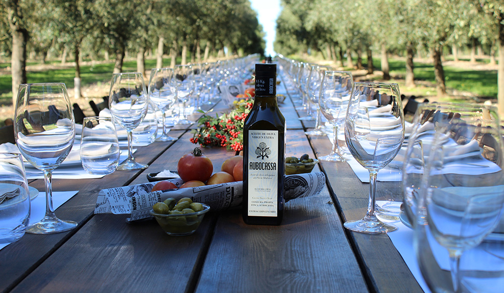 Gastronomía y aceite. Usos del AOVE