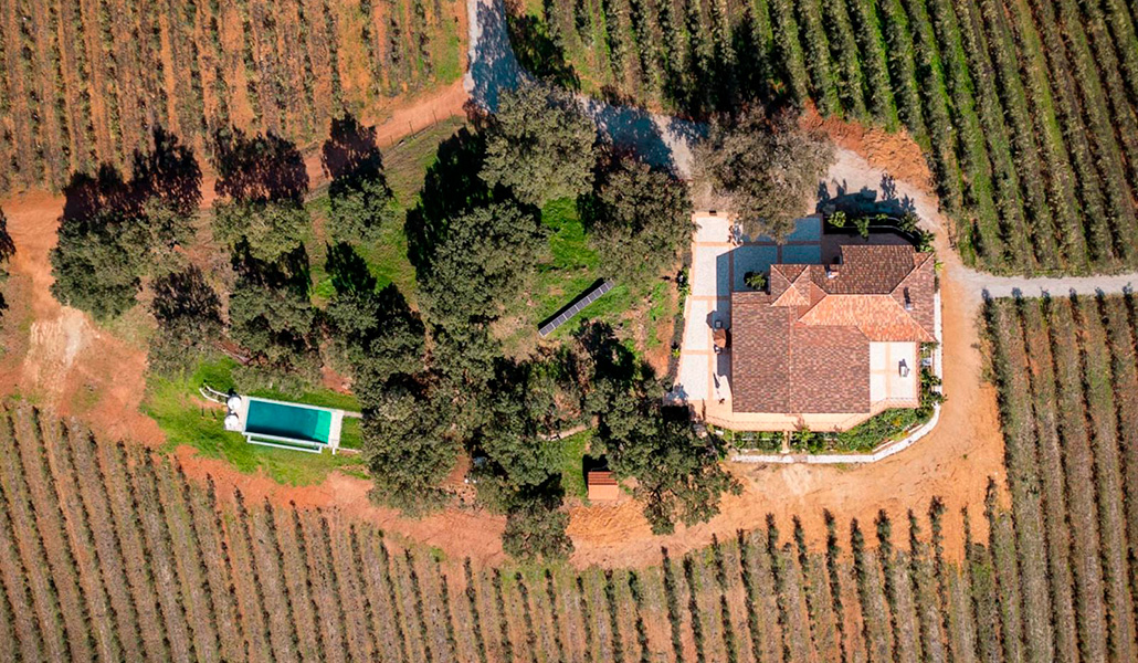 Oleoturismo y descanso entre olivos: usos del AOVE