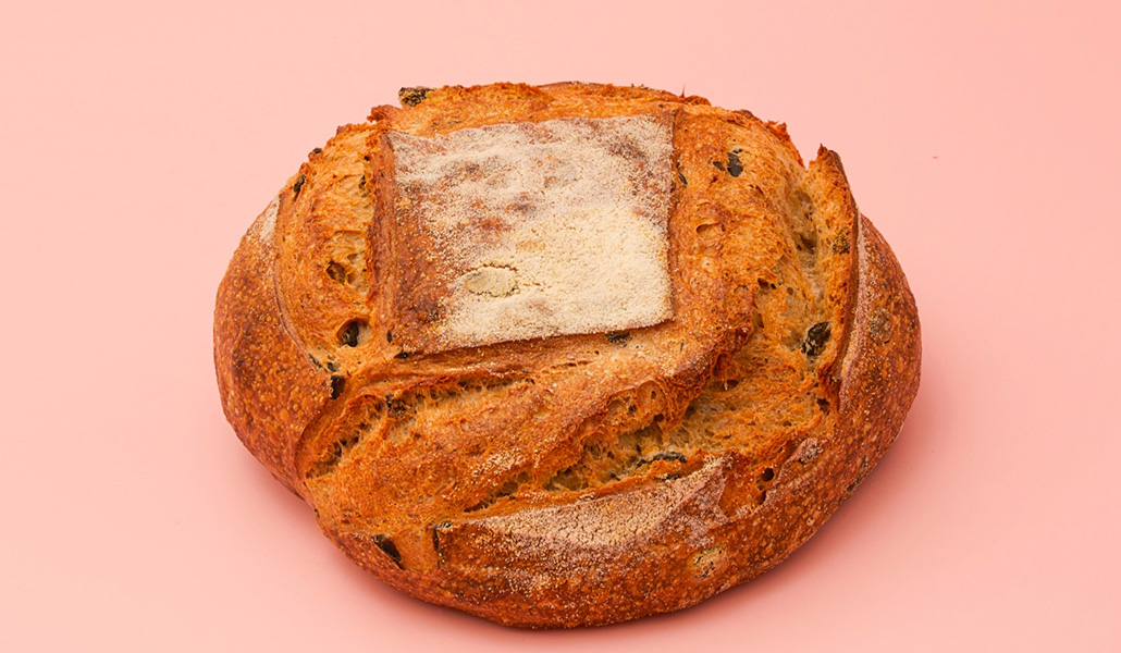 Usos del AOVE en gastronomía con Madreamiga