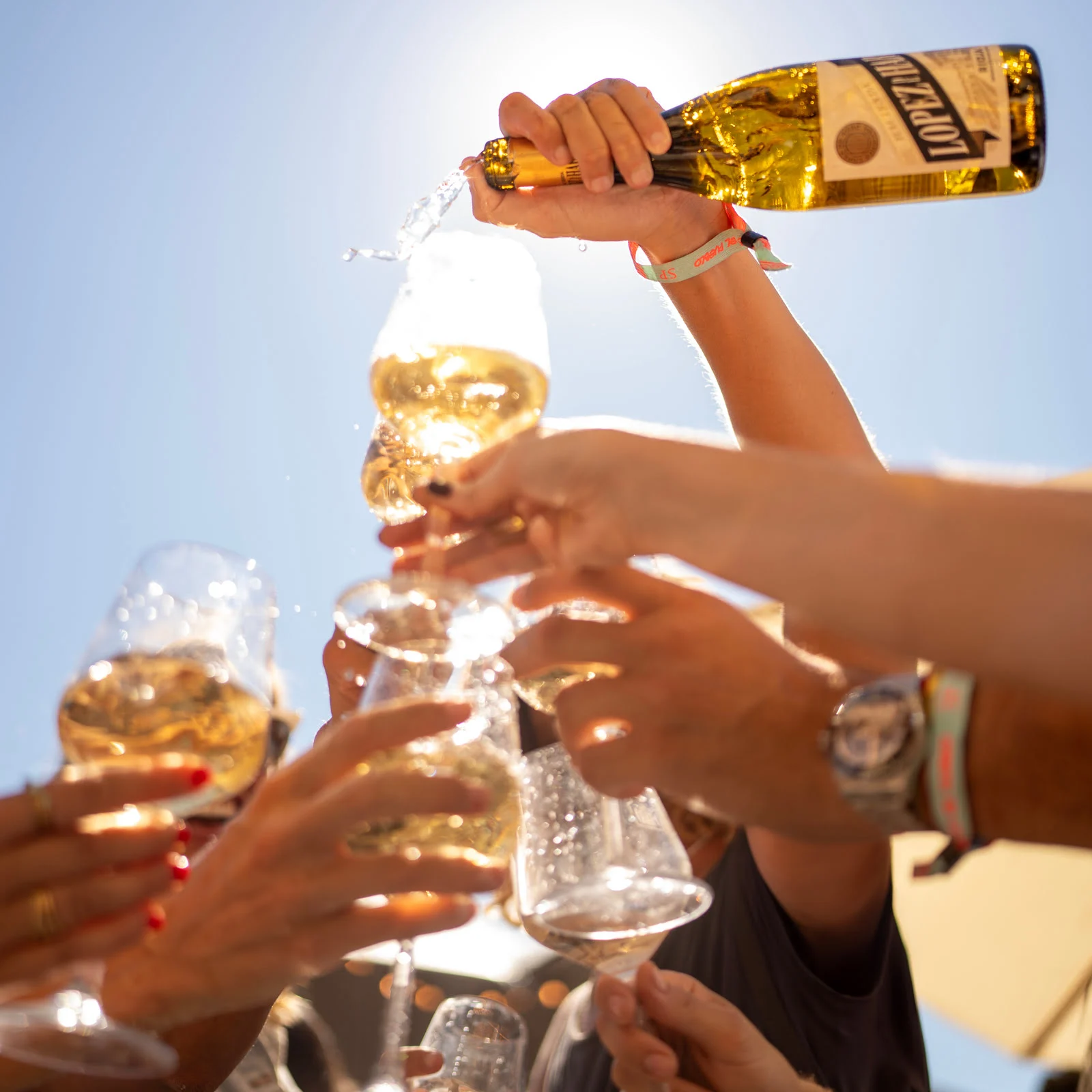 Vintae Wine Fest 2025 vuelve del 3 al 5 de octubre