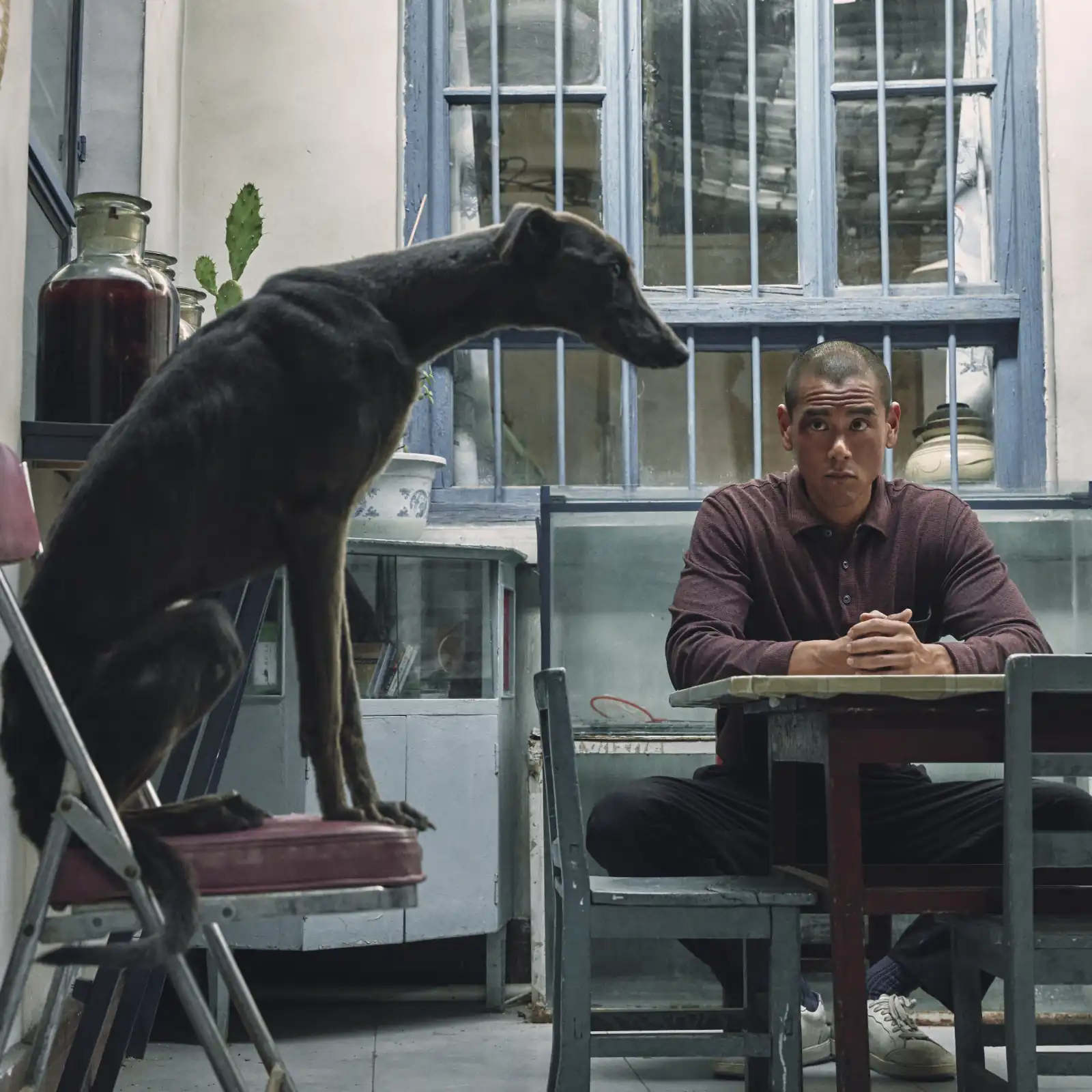 foto fija de la película Black Dog