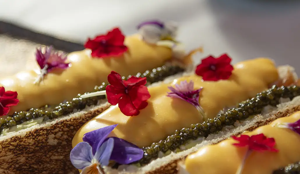 Dani's Sandwich Club