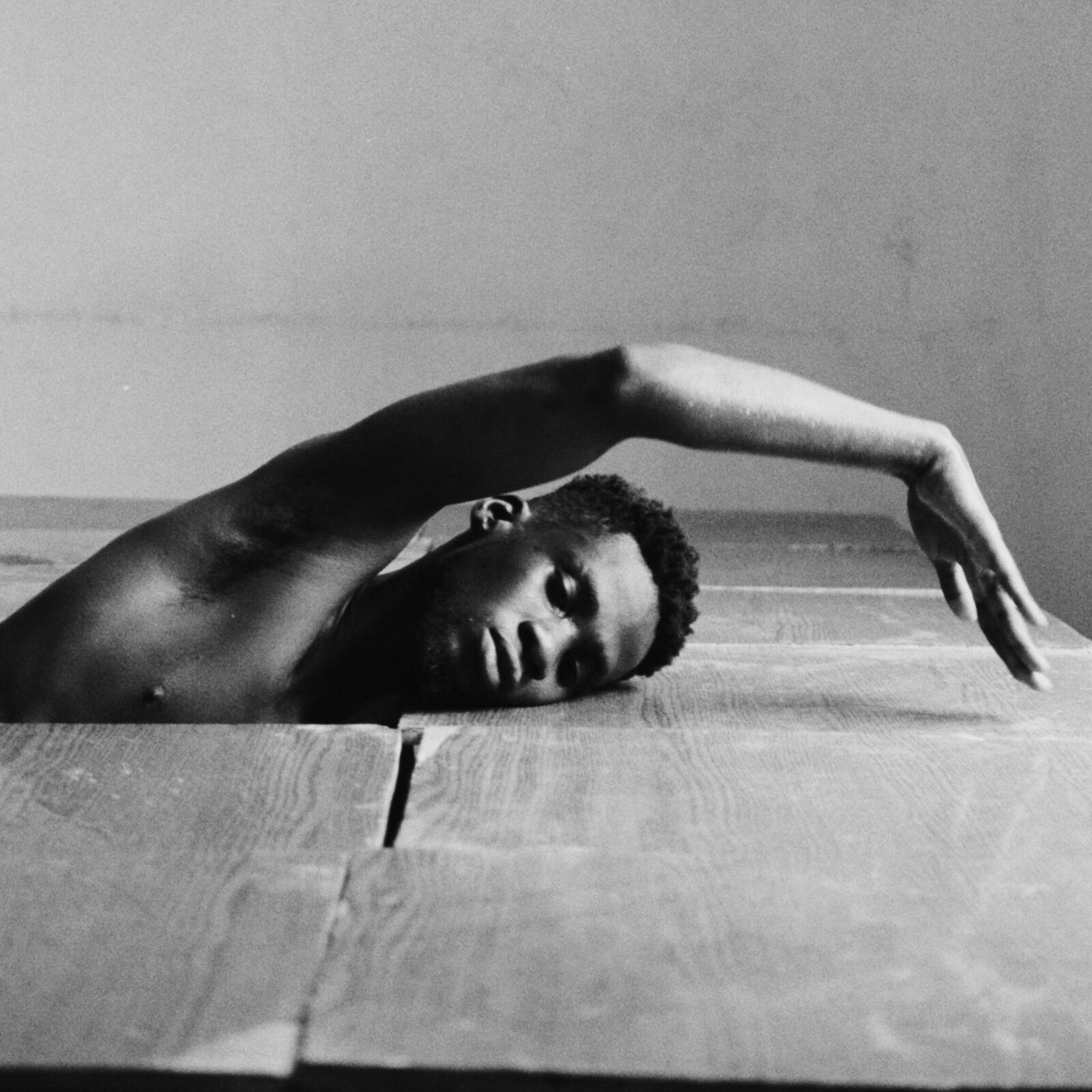 CONSTELLATIONS de Dani Pannullo