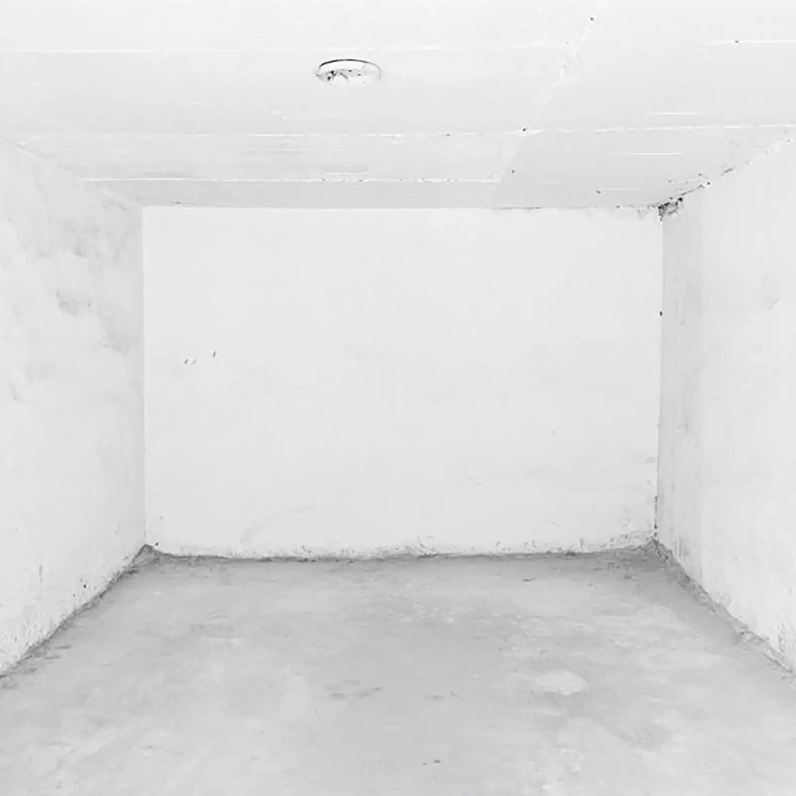 Exposición Latidos invisibles en galería Blanca Berlín